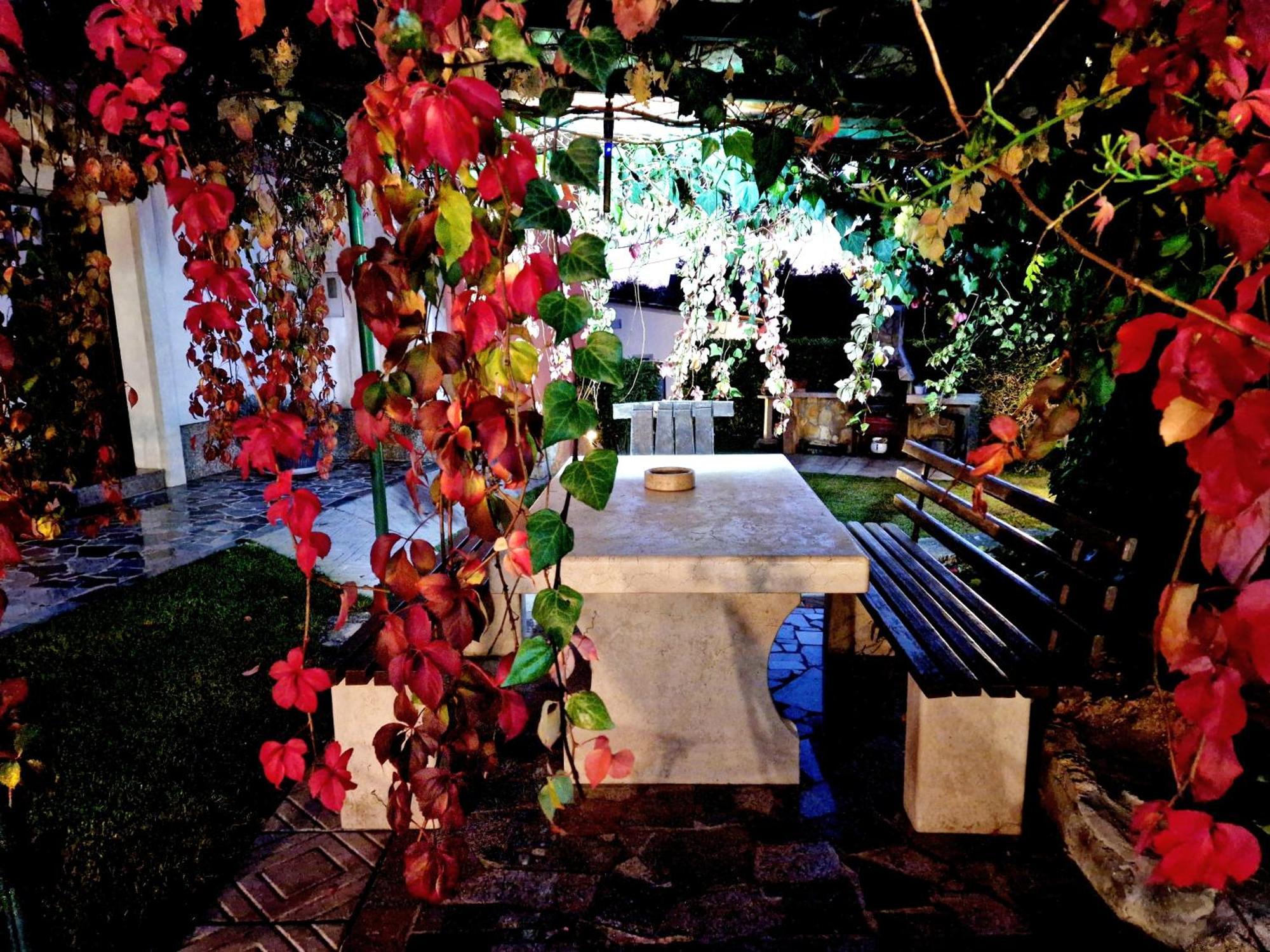 Villa Cozy Getaway House Luana Buzet Exterior foto